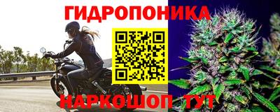 стаф Комсомольск-на-Амуре
