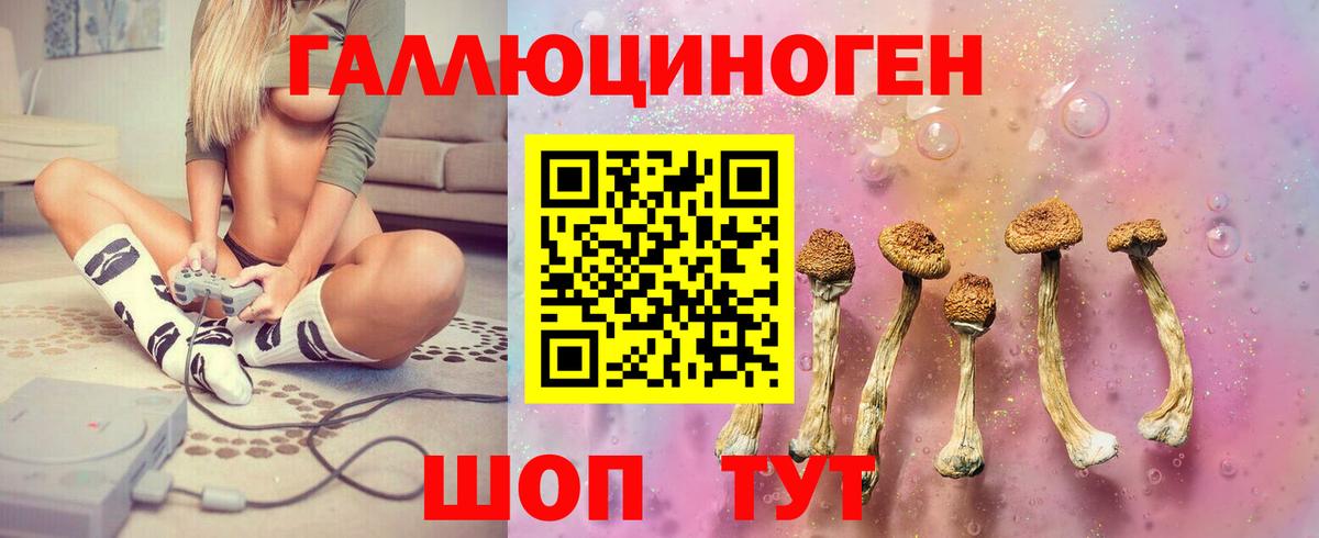 закладки  Галлюциногенные грибы мицелий  Вход с VPN  Сургут 